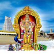Thiruchendur Temple eBooking
