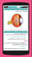 پوستر Science 8 Urdu