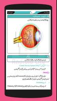 Science 8 Urdu ポスター