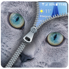 Blue Cat Lockscreen:Blue Cute Cat Zipper 2017 simgesi