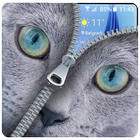 Blue Cat Lockscreen:Blue Cute Cat Zipper 2017 Zeichen