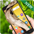 Cobra Snake on Screen - Hissing prank APK