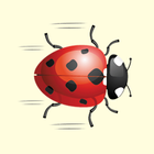 FeedBug icon