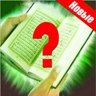 Ислам Вопросы Ответы icône