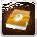 مشاري العفاسي القران بصوت جميل APK