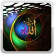 Douaa Al Qonout