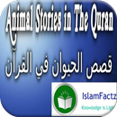Stories of Animals in Quran aplikacja