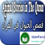 ”Stories of Animals in Quran