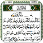 Surah Al-Mulk Audio icône