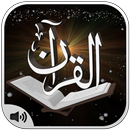 Al-Qur'an 3D: texte et audio APK