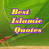 Best Islamic Quotes icône