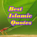 Best Islamic Quotes-APK