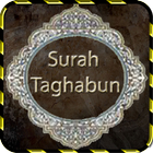 Surah Taghabun biểu tượng