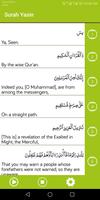 Surah Yasin 截图 3