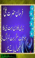 Farmanaye Hazrat Ali poster