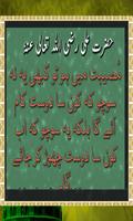 Farmanaye Hazrat Ali স্ক্রিনশট 2