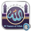99 Names of Allah (Asma Ul Hus APK
