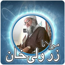 Maulana Zarwali Khan Bayan APK