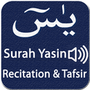 Surah Yasin,Recitation and tafseer APK