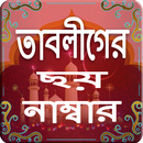 তাবলীগের ছয় নাম্বার ও বয়ান APK