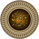 Surah Yaseen with Tafseer APK