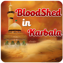 Bloodshed In Karbala APK
