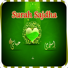 Surah e Sajda Quran Pak icon