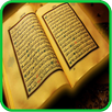 Surah Taghabun APK