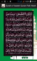 Surah Yaseen - Quran Pak Heart imagem de tela 2