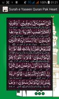 Surah Yaseen - Quran Pak Heart imagem de tela 3