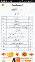 Sood - Tanzeem e Islami 截图 2