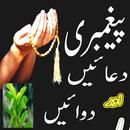 Peghambari Duain aur Dawain-APK