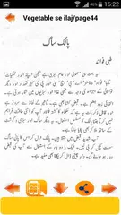 Vegetable se ilaj APK download