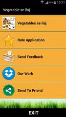 Vegetable se ilaj APK download