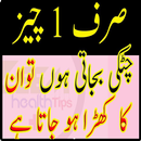 Desi Hakeemi Nuskha 06 2017 APK