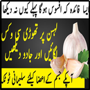 Lehsan Aor Vicks Desi Nuskha 2017 APK