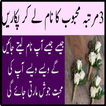 3 Martabah Mehboob ka name le ker pukaren Ramzan