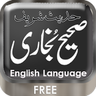 Sahih Al Bukhari (English)-icoon