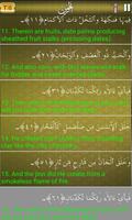 Surah Rahman Multilanguage screenshot 3