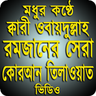 Icona ক্বারী ওবায়দুল্লাহ এর কুরআন তিলাওয়াত ভিডিও