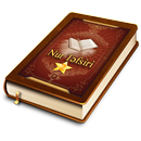 Nur təfsiri 2-ci cild APK