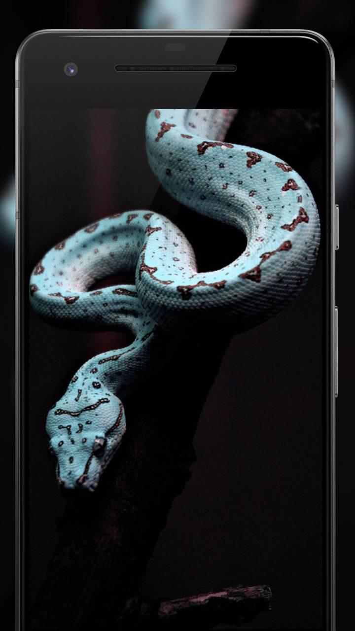  Black  Wallpaper  AMOLED  Dark  Background  Darkify  3 APK  2 0 