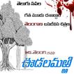 Oodalamarri - Telugu Novel