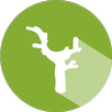 Nurlu Vecizeler APK