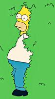 Homer Wallpapers 截圖 2