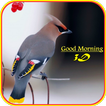 Good Morning 3D Images