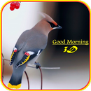 Good Morning 3D Images APK