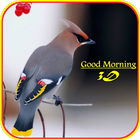 Good Morning 3D Images ไอคอน