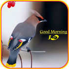 Icona Good Morning 3D Images