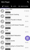 Mini Player imagem de tela 2